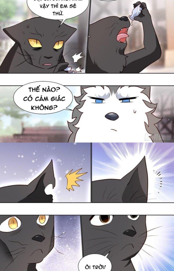 Trọng Sinh Thành Chó Của Nữ Thần Chapter 160 - Trang 3