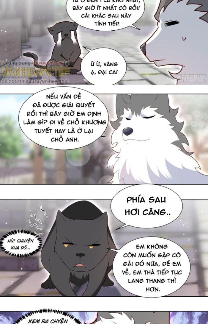 Trọng Sinh Thành Chó Của Nữ Thần Chapter 160 - Trang 3