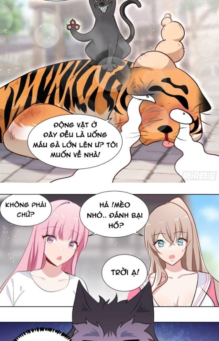 Trọng Sinh Thành Chó Của Nữ Thần Chapter 161 - Trang 3