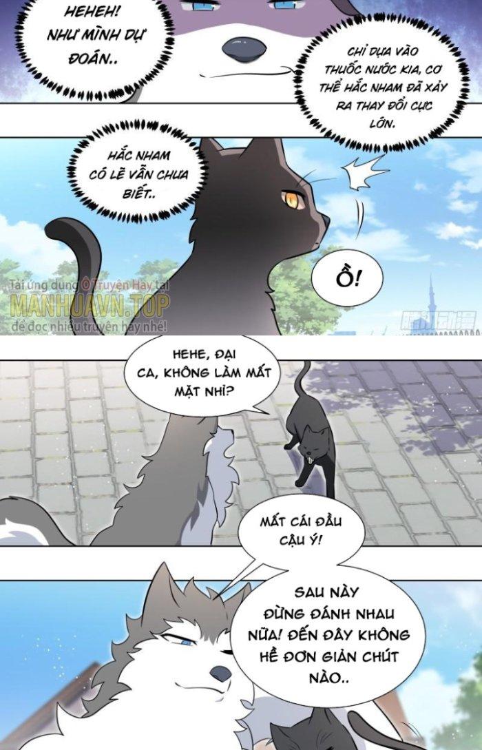 Trọng Sinh Thành Chó Của Nữ Thần Chapter 161 - Trang 3