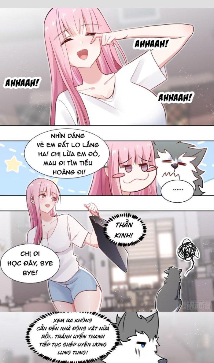 Trọng Sinh Thành Chó Của Nữ Thần Chapter 163 - Trang 3