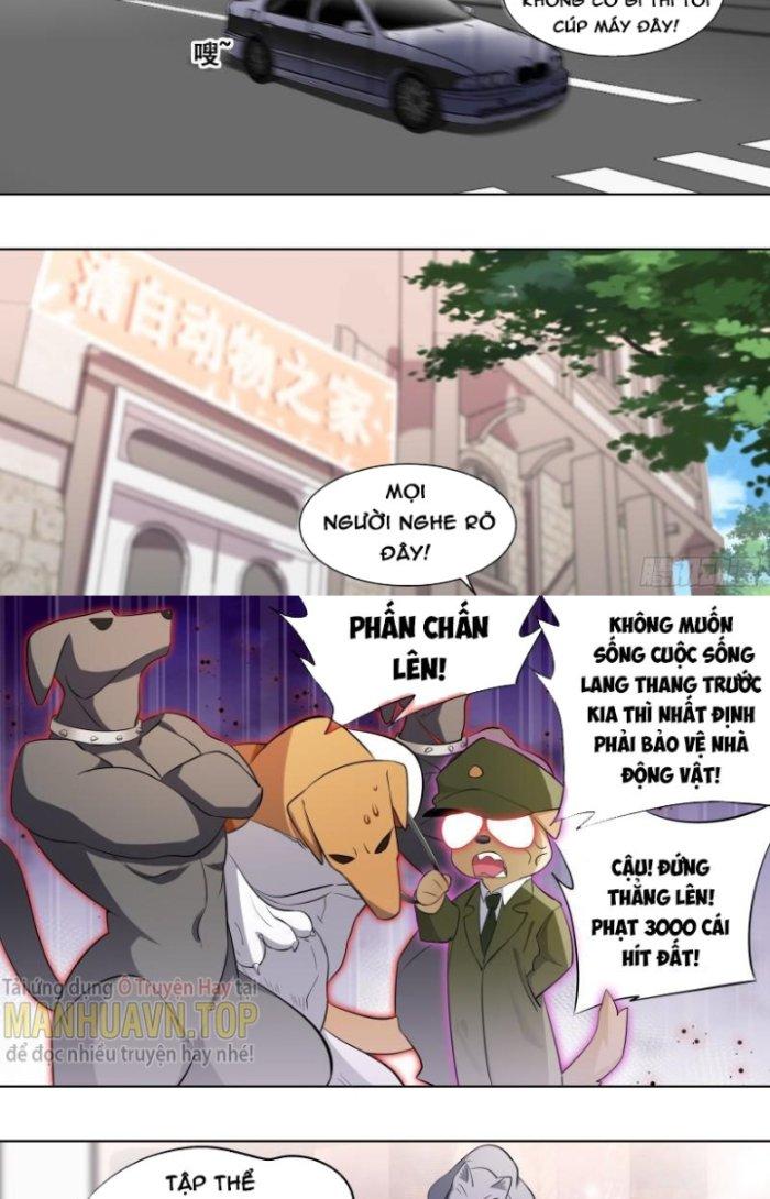 Trọng Sinh Thành Chó Của Nữ Thần Chapter 167 - Trang 3