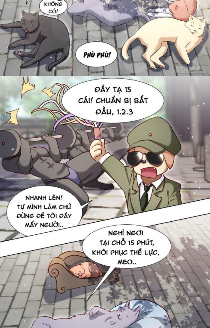 Trọng Sinh Thành Chó Của Nữ Thần Chapter 167 - Trang 3