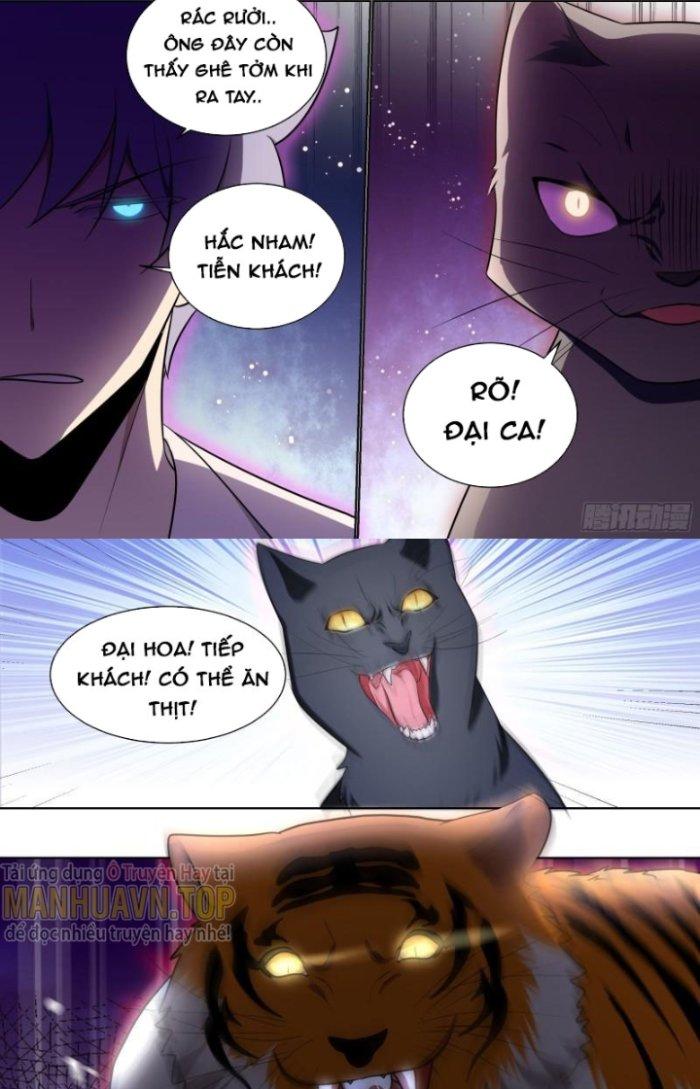 Trọng Sinh Thành Chó Của Nữ Thần Chapter 168 - Trang 3