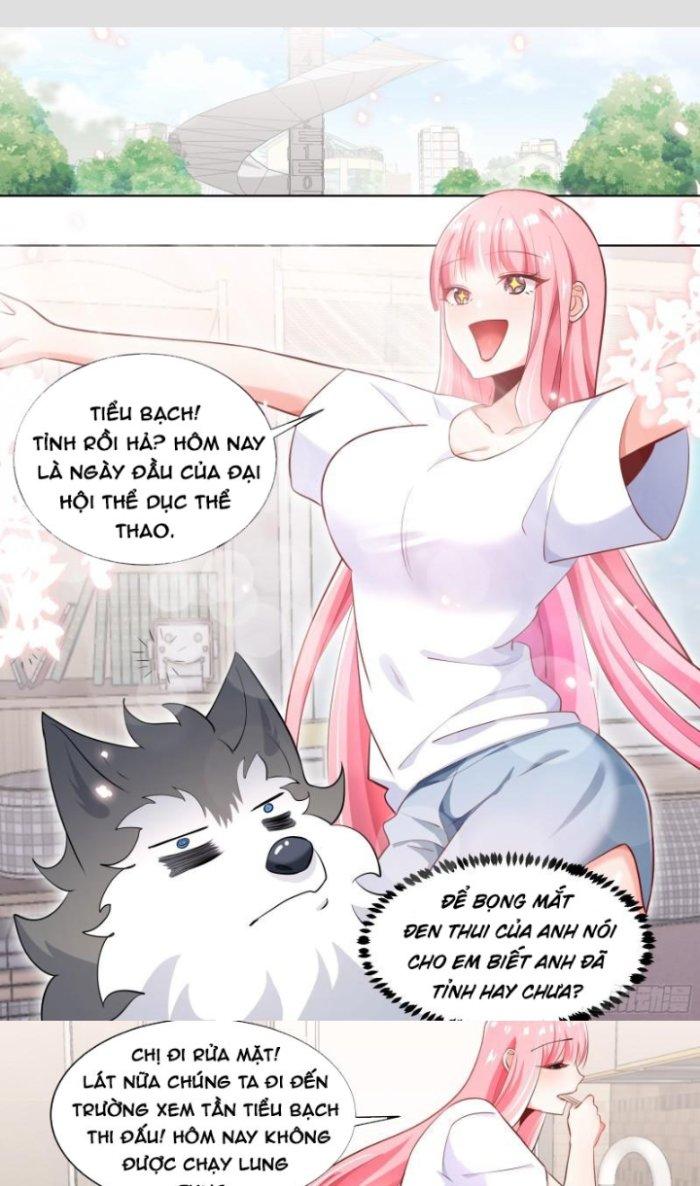 Trọng Sinh Thành Chó Của Nữ Thần Chapter 172 - Trang 3