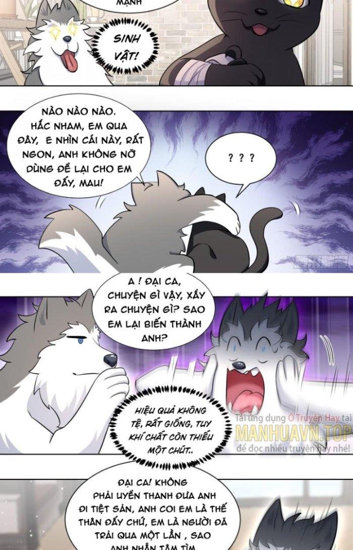 Trọng Sinh Thành Chó Của Nữ Thần Chapter 172 - Trang 3
