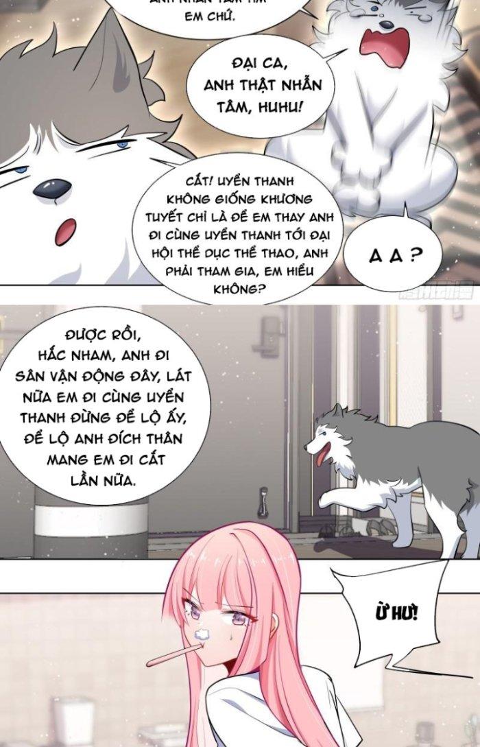 Trọng Sinh Thành Chó Của Nữ Thần Chapter 172 - Trang 3