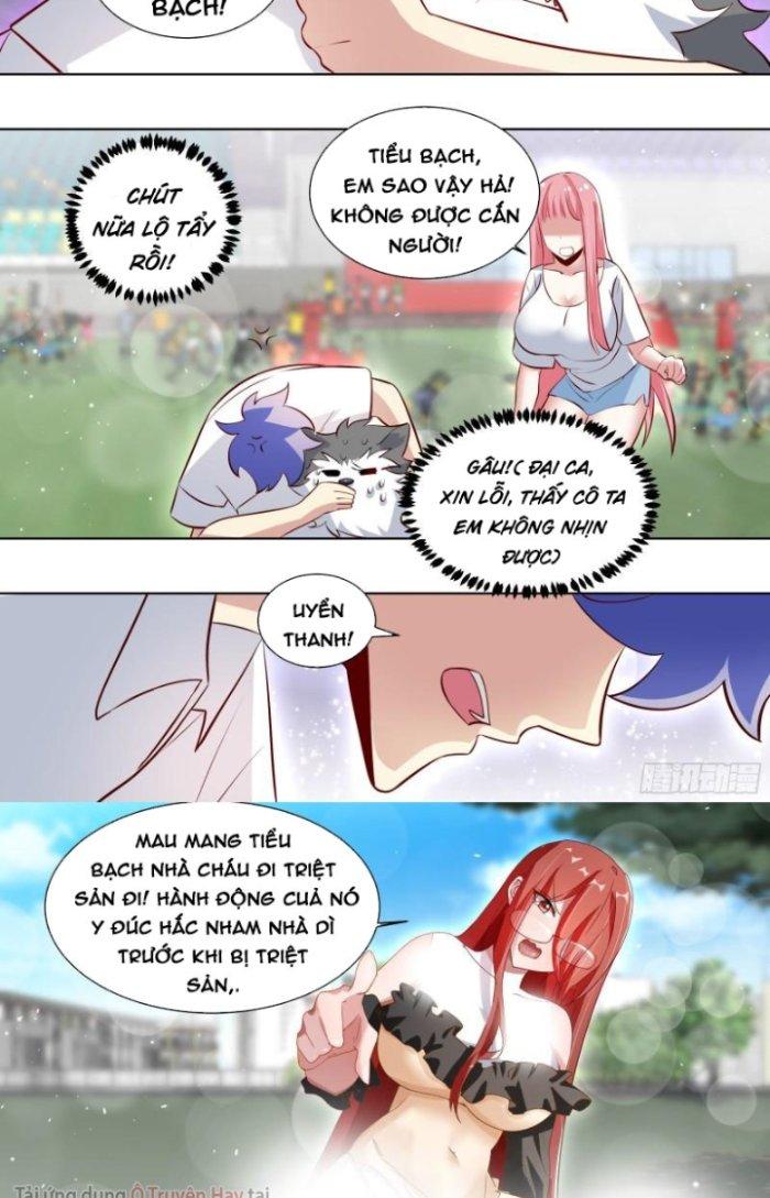 Trọng Sinh Thành Chó Của Nữ Thần Chapter 173 - Trang 3