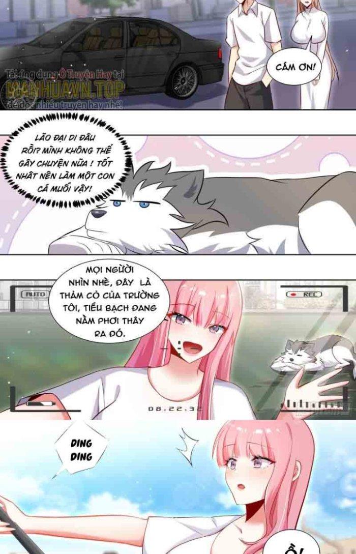 Trọng Sinh Thành Chó Của Nữ Thần Chapter 175 - Trang 4