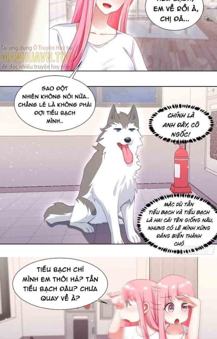 Trọng Sinh Thành Chó Của Nữ Thần Chapter 177 - Trang 4