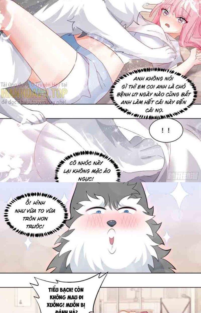 Trọng Sinh Thành Chó Của Nữ Thần Chapter 177 - Trang 4