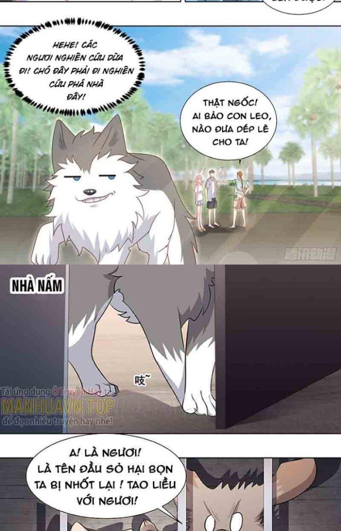 Trọng Sinh Thành Chó Của Nữ Thần Chapter 178 - Trang 4