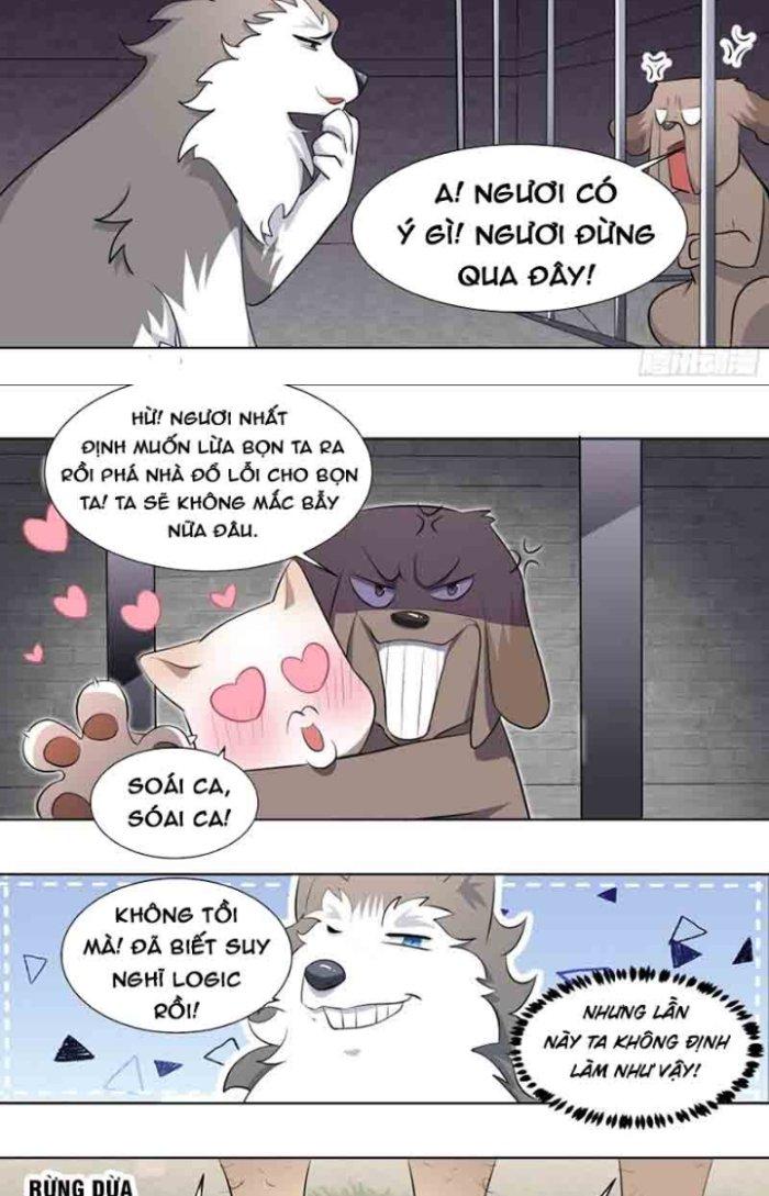 Trọng Sinh Thành Chó Của Nữ Thần Chapter 178 - Trang 4