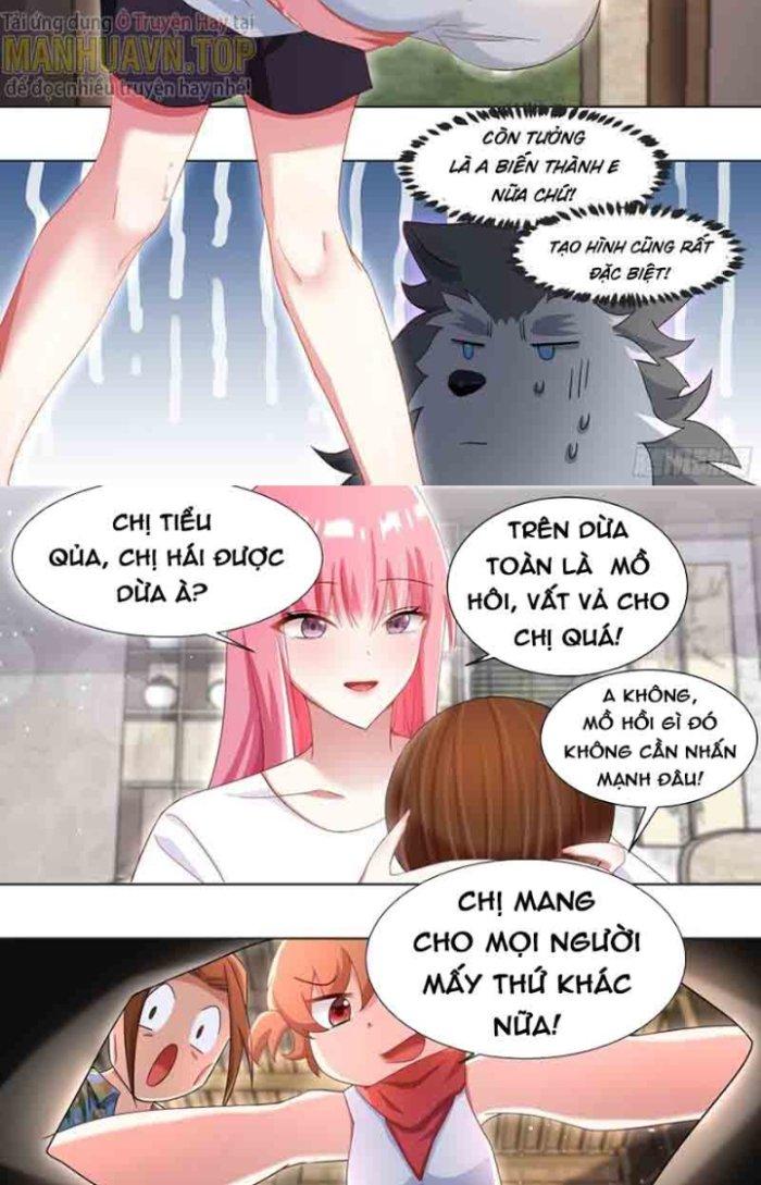 Trọng Sinh Thành Chó Của Nữ Thần Chapter 179 - Trang 4