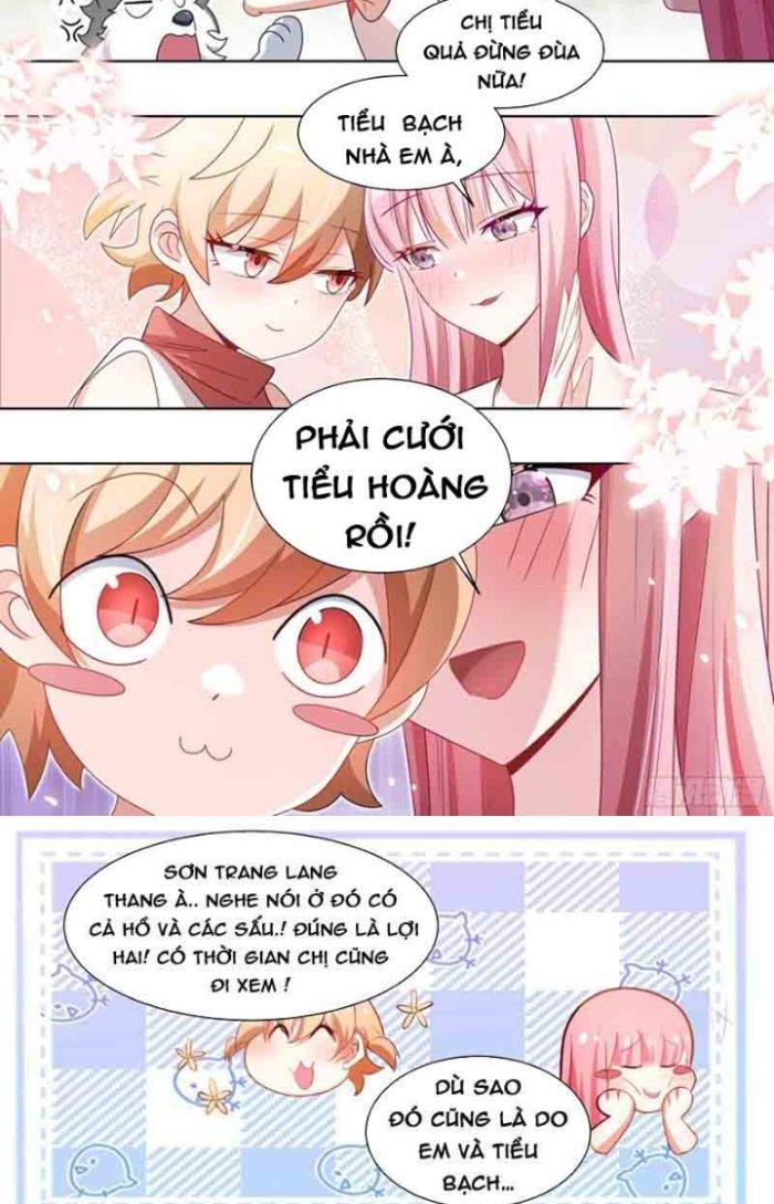 Trọng Sinh Thành Chó Của Nữ Thần Chapter 180 - Trang 4