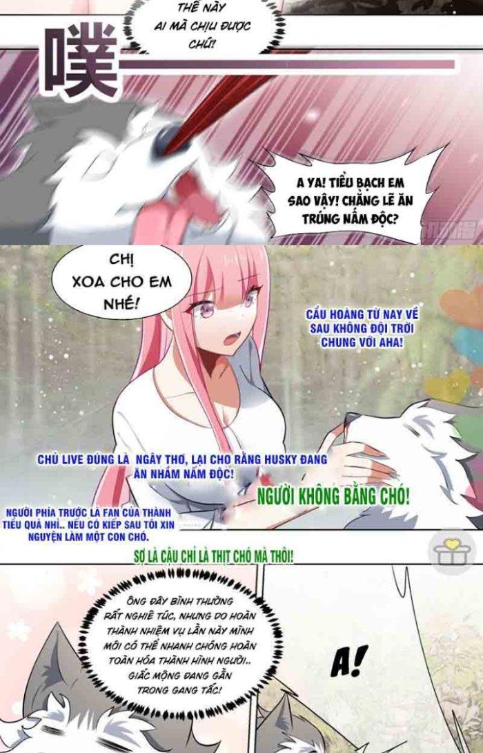 Trọng Sinh Thành Chó Của Nữ Thần Chapter 180 - Trang 4
