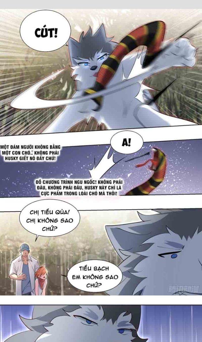 Trọng Sinh Thành Chó Của Nữ Thần Chapter 181 - Trang 3