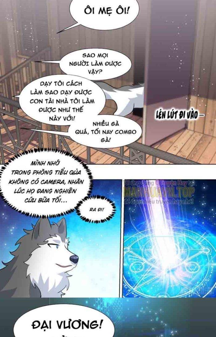 Trọng Sinh Thành Chó Của Nữ Thần Chapter 181 - Trang 3