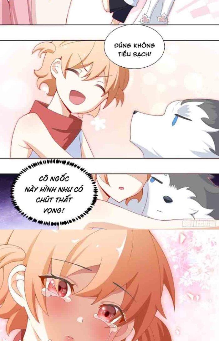Trọng Sinh Thành Chó Của Nữ Thần Chapter 183 - Trang 4
