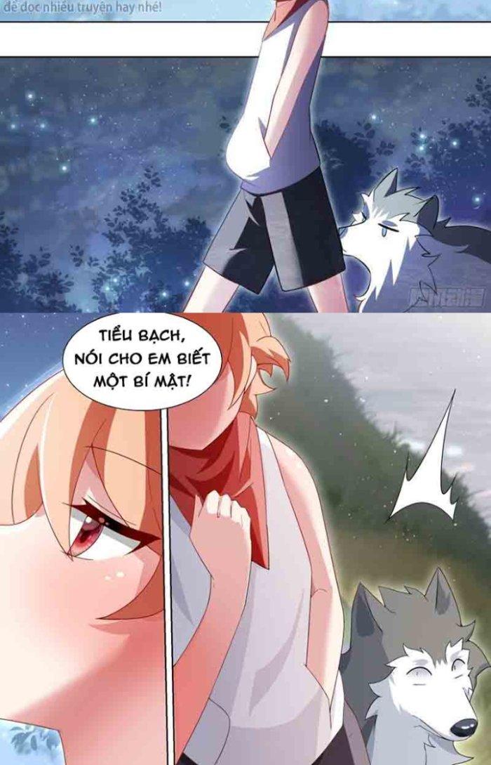 Trọng Sinh Thành Chó Của Nữ Thần Chapter 183 - Trang 4