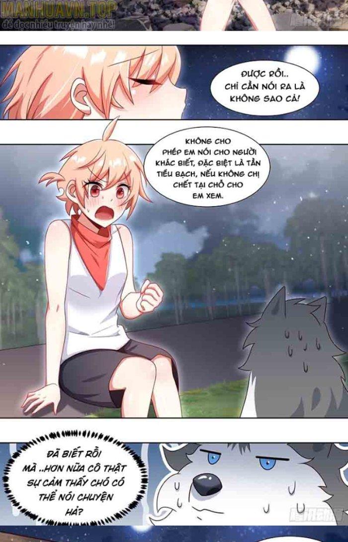 Trọng Sinh Thành Chó Của Nữ Thần Chapter 183 - Trang 4