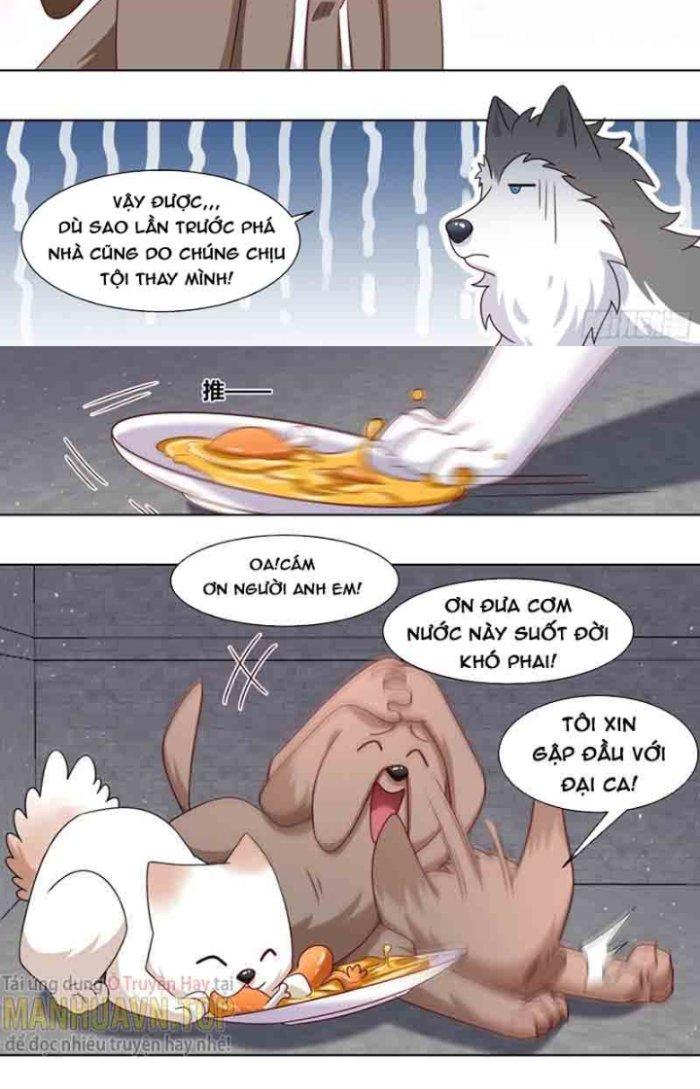 Trọng Sinh Thành Chó Của Nữ Thần Chapter 184 - Trang 4