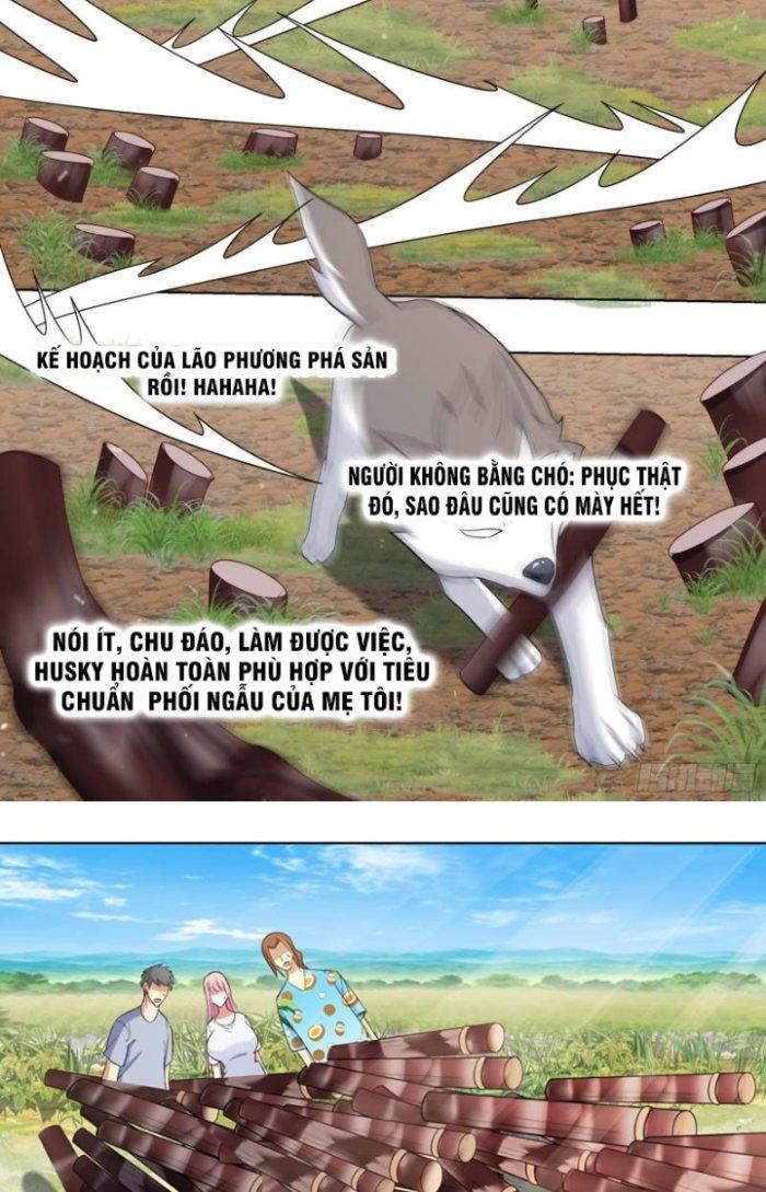Trọng Sinh Thành Chó Của Nữ Thần Chapter 188 - Trang 4