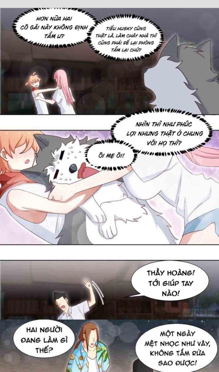 Trọng Sinh Thành Chó Của Nữ Thần Chapter 186 - Trang 4