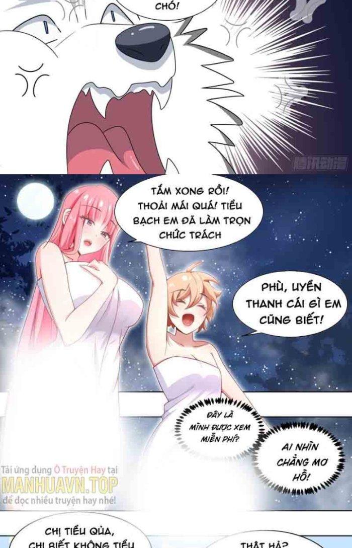 Trọng Sinh Thành Chó Của Nữ Thần Chapter 186 - Trang 4