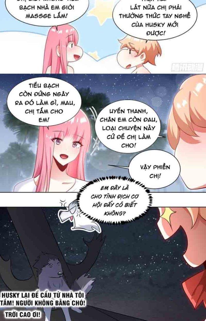 Trọng Sinh Thành Chó Của Nữ Thần Chapter 186 - Trang 4