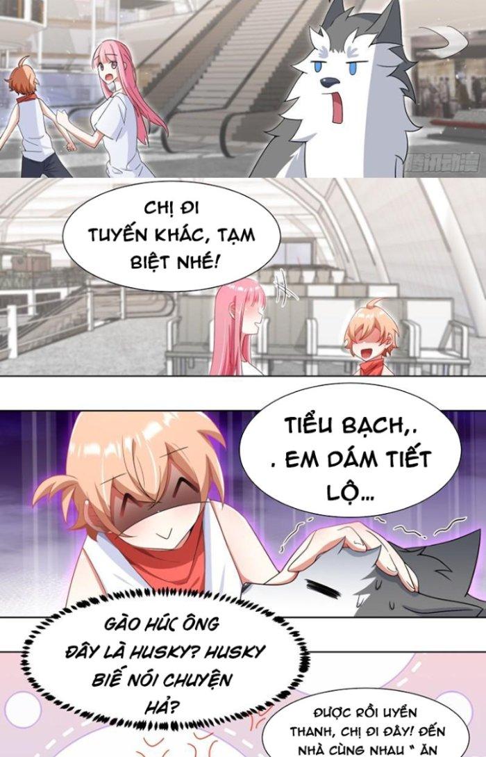 Trọng Sinh Thành Chó Của Nữ Thần Chapter 189 - Trang 4