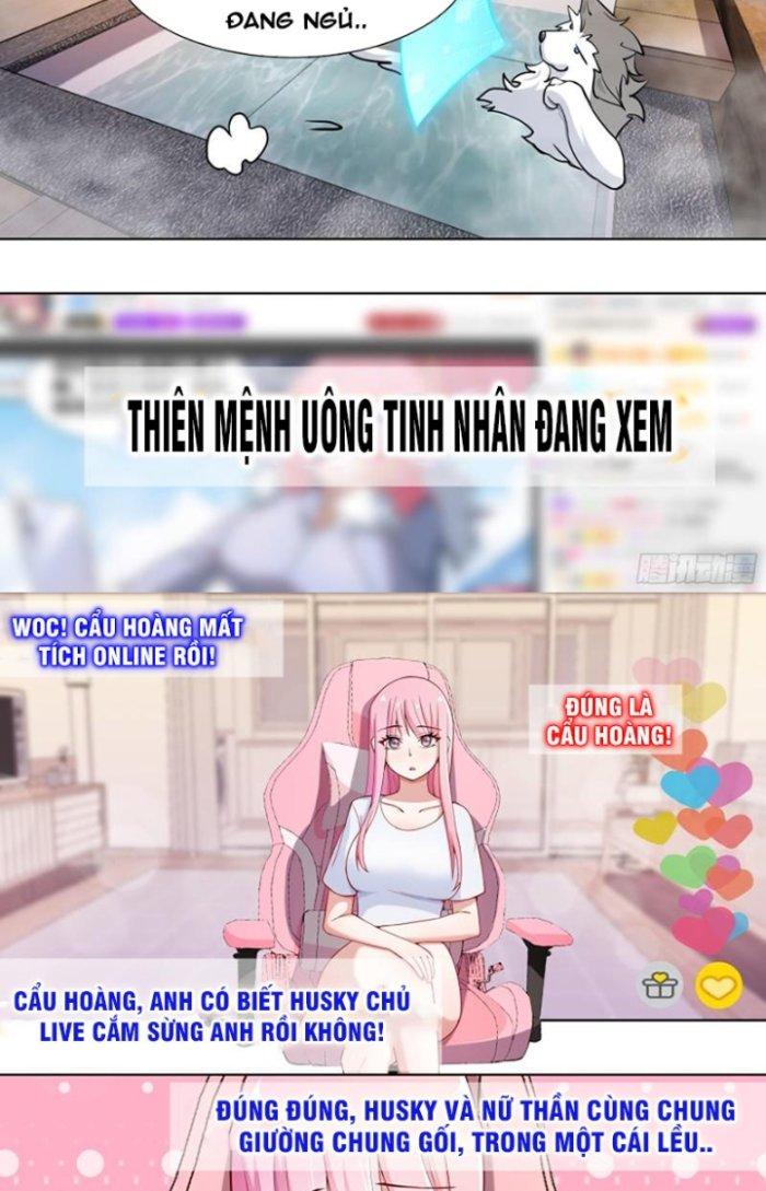 Trọng Sinh Thành Chó Của Nữ Thần Chapter 192 - Trang 4