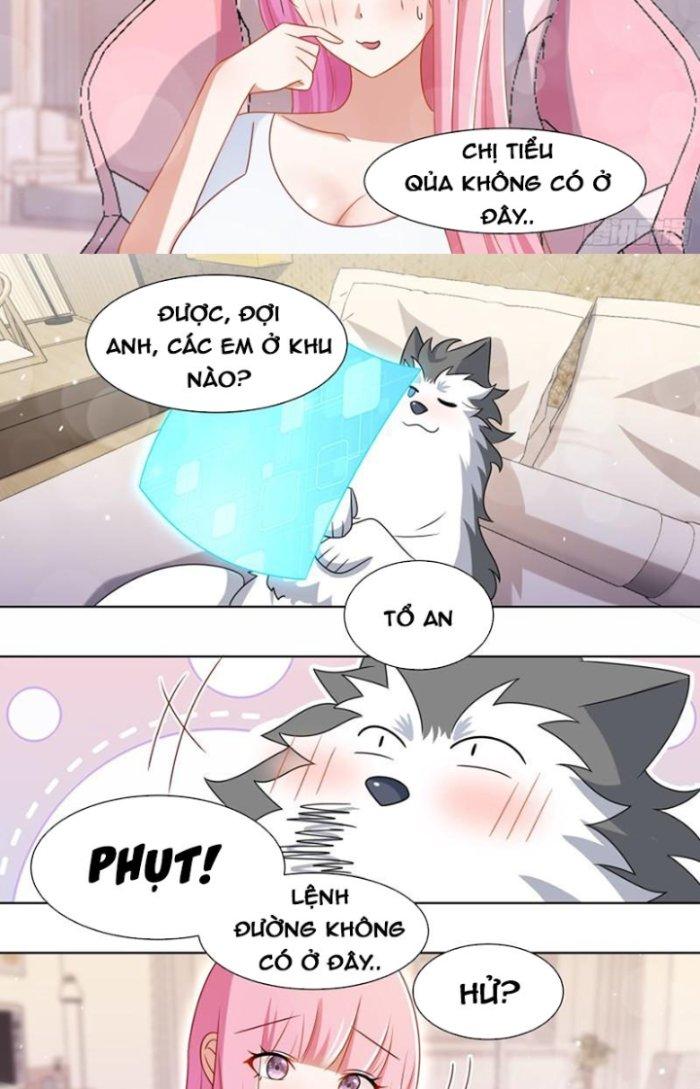 Trọng Sinh Thành Chó Của Nữ Thần Chapter 192 - Trang 4