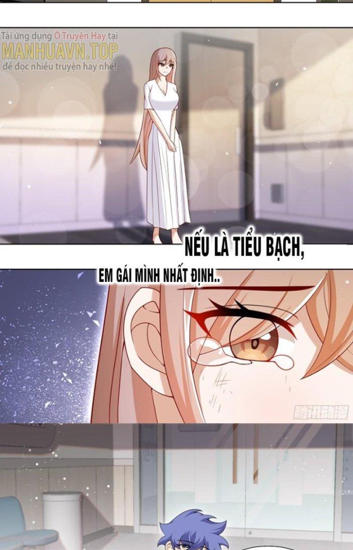 Trọng Sinh Thành Chó Của Nữ Thần Chapter 195 - Trang 4