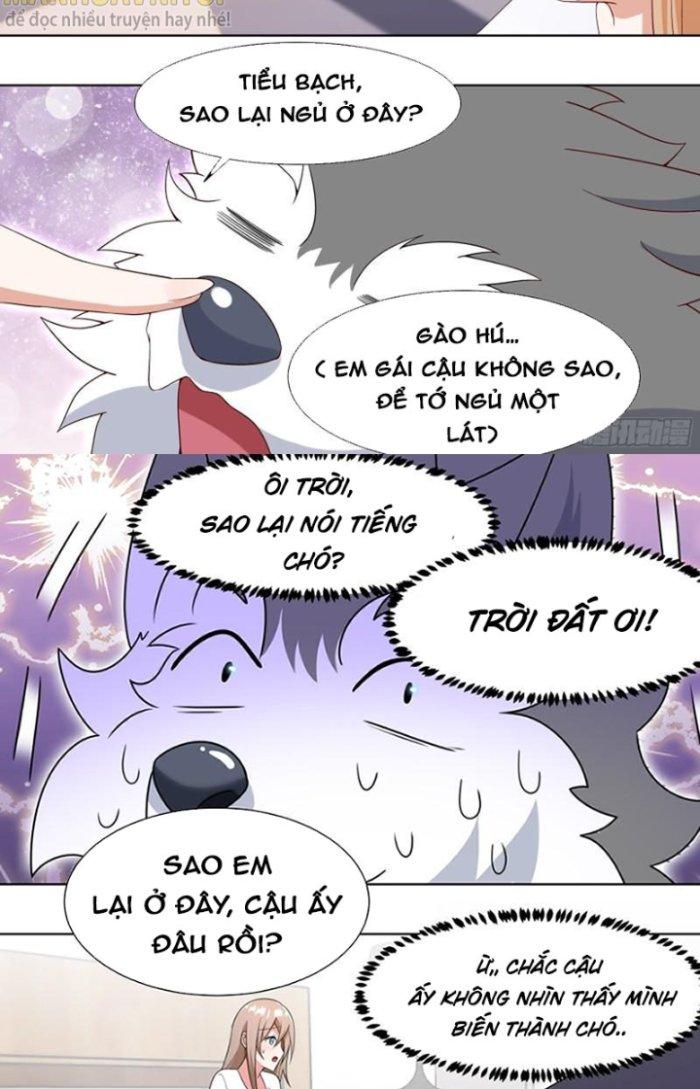 Trọng Sinh Thành Chó Của Nữ Thần Chapter 196 - Trang 4
