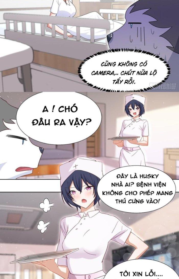 Trọng Sinh Thành Chó Của Nữ Thần Chapter 196 - Trang 4