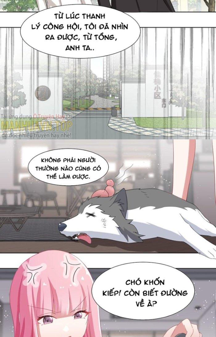 Trọng Sinh Thành Chó Của Nữ Thần Chapter 203 - Trang 4