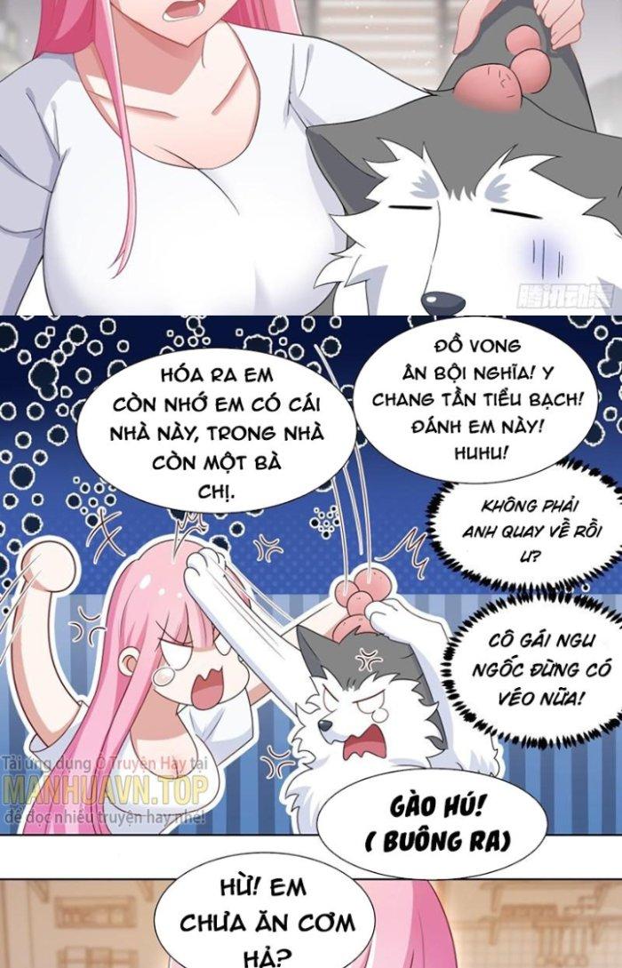 Trọng Sinh Thành Chó Của Nữ Thần Chapter 203 - Trang 4