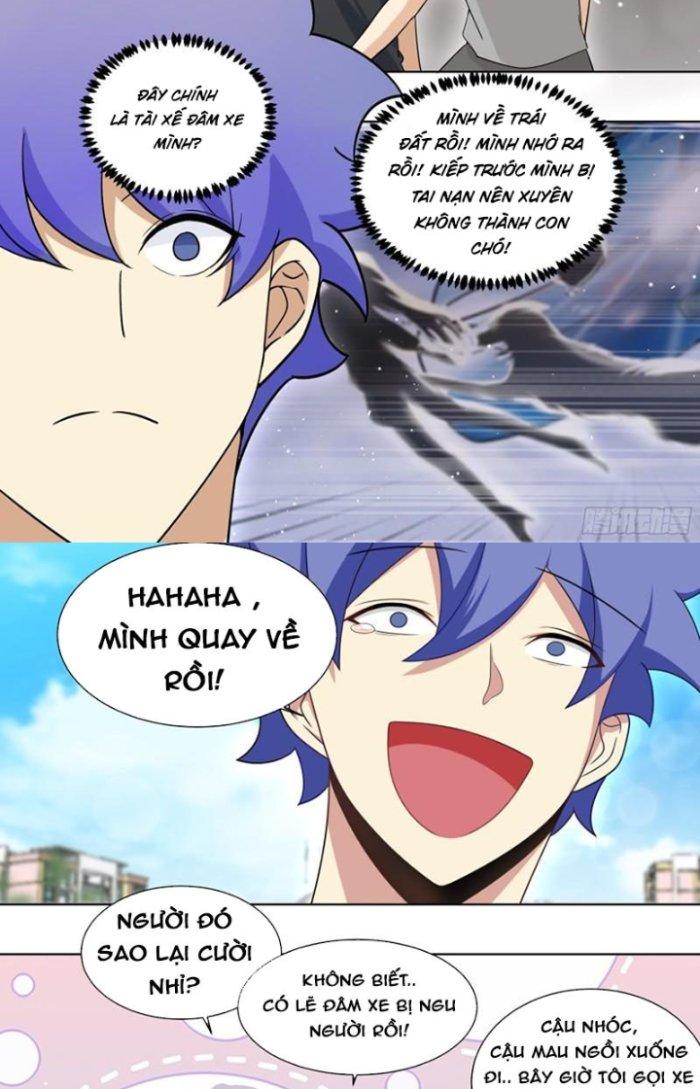 Trọng Sinh Thành Chó Của Nữ Thần Chapter 209 - Trang 4