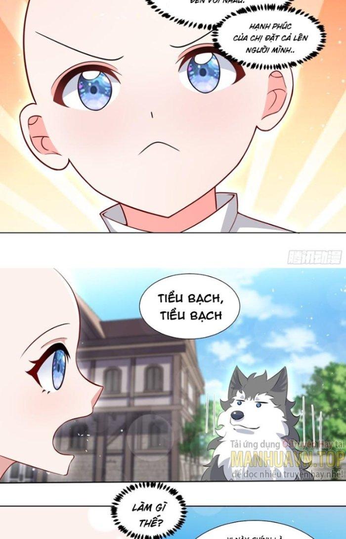 Trọng Sinh Thành Chó Của Nữ Thần Chapter 216 - Trang 4