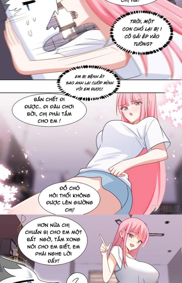 Trọng Sinh Thành Chó Của Nữ Thần Chapter 219 - Trang 4