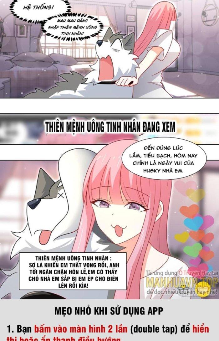 Trọng Sinh Thành Chó Của Nữ Thần Chapter 219 - Trang 4