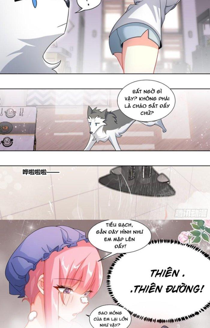 Trọng Sinh Thành Chó Của Nữ Thần Chapter 219 - Trang 4