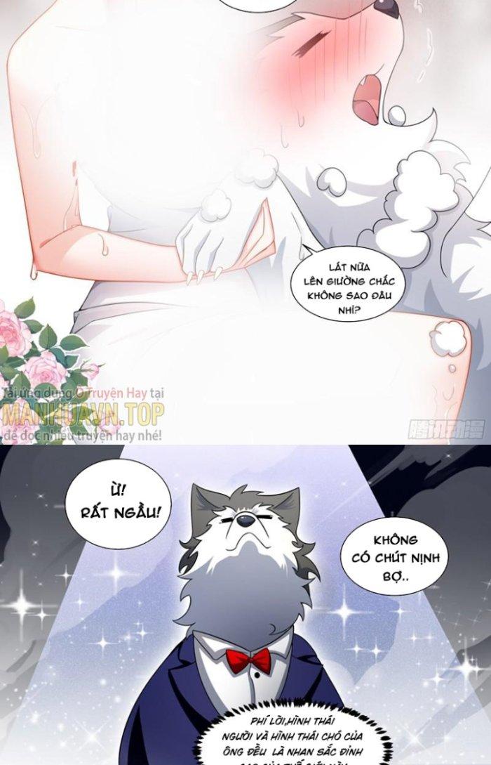 Trọng Sinh Thành Chó Của Nữ Thần Chapter 219 - Trang 4