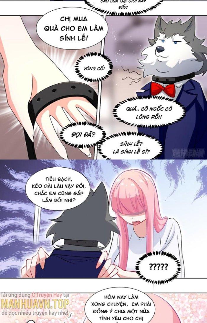 Trọng Sinh Thành Chó Của Nữ Thần Chapter 219 - Trang 4