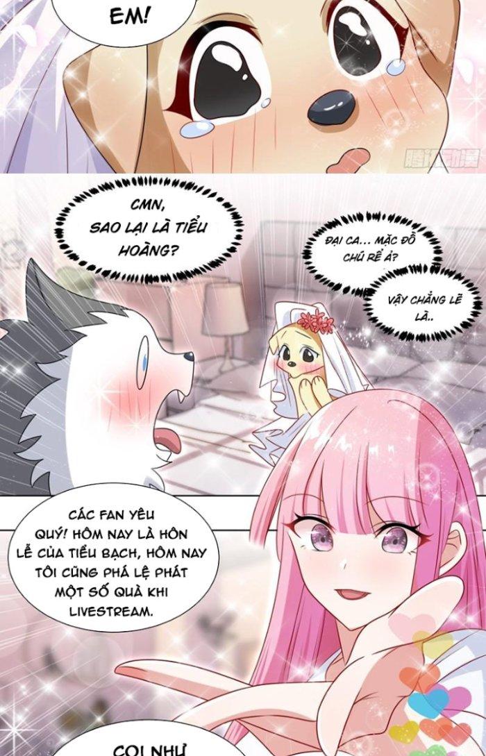 Trọng Sinh Thành Chó Của Nữ Thần Chapter 219 - Trang 4