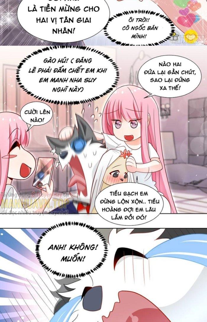 Trọng Sinh Thành Chó Của Nữ Thần Chapter 219 - Trang 4