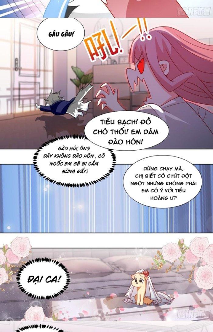 Trọng Sinh Thành Chó Của Nữ Thần Chapter 219 - Trang 4