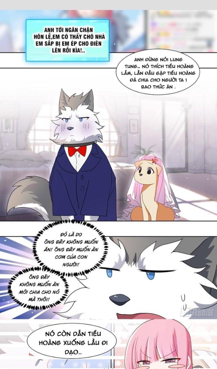 Trọng Sinh Thành Chó Của Nữ Thần Chapter 220 - Trang 4