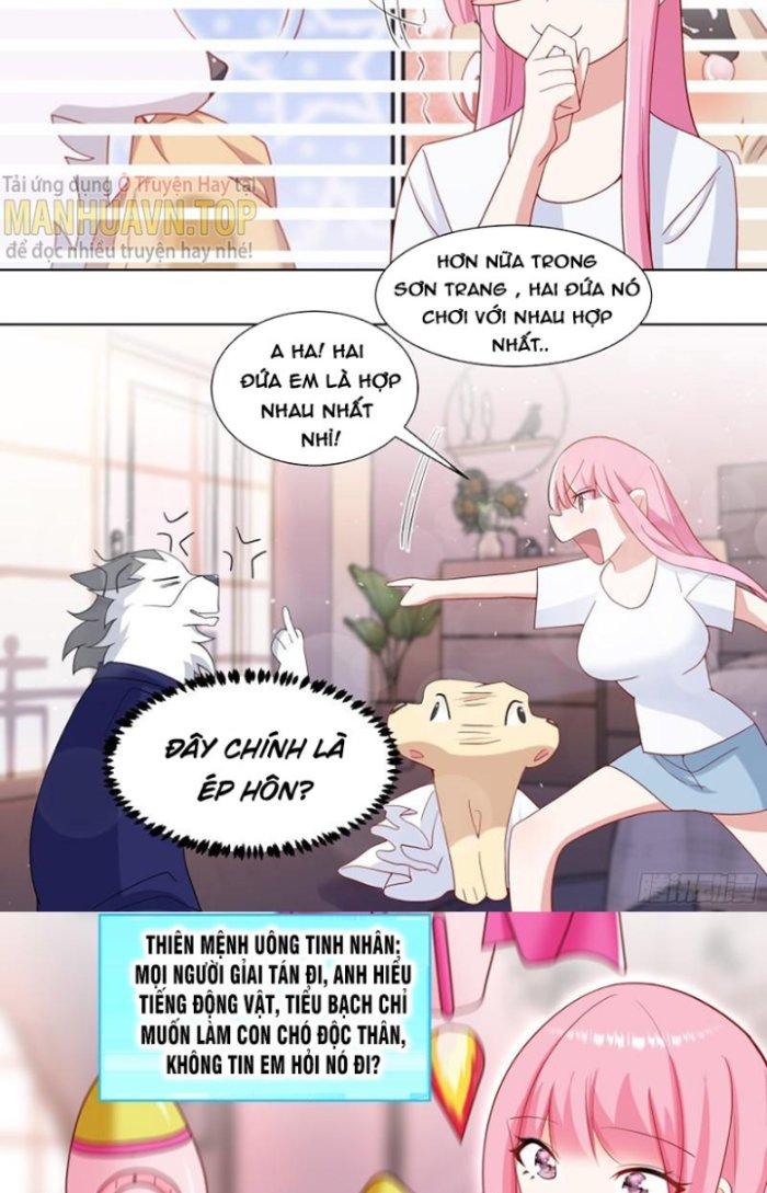 Trọng Sinh Thành Chó Của Nữ Thần Chapter 220 - Trang 4
